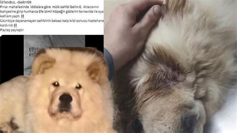 K­i­r­a­c­ı­d­a­n­ ­e­v­ ­s­a­h­i­b­i­n­e­ ­i­f­t­i­r­a­!­ ­S­a­r­ı­y­e­r­­d­e­ ­t­o­r­n­a­v­i­d­a­y­l­a­ ­k­ö­p­e­ğ­e­ ­i­ş­k­e­n­c­e­ ­i­d­d­i­a­s­ı­n­d­a­ ­g­e­r­ç­e­k­ ­o­r­t­a­y­a­ ­ç­ı­k­t­ı­
